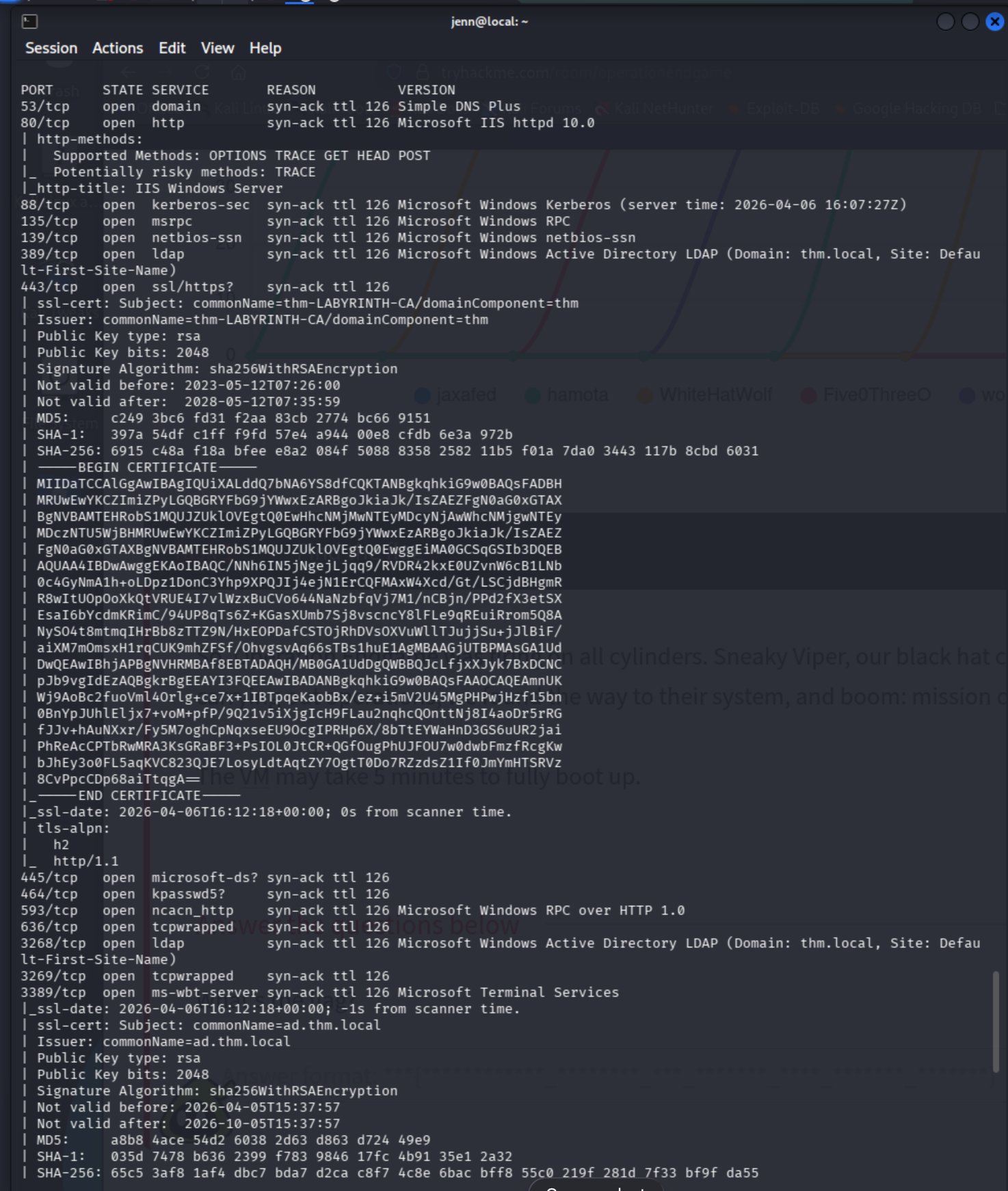 ADCS confirmed via thm-LABYRINTH-CA certificate